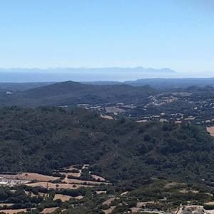 Meet your Posher, Jane